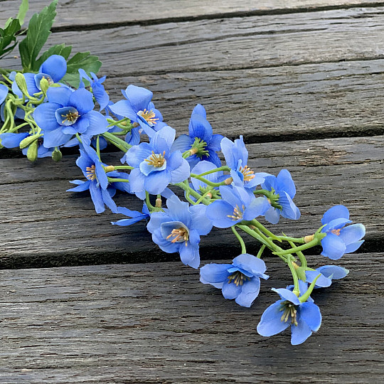 BLEU DELPHINIUM
