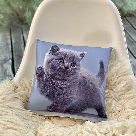 Housse décorative KITTY