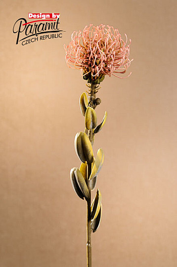 PETITE PROTEA SÈCHE ROSE