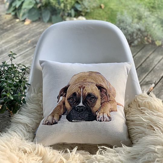 Taie doreiller tapisserie BOXER