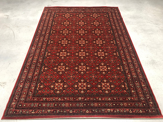 Tapis de luxe en laine KASHQAI 4372/300