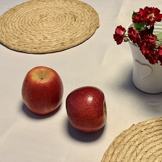 Nappe TEFLON ELBA blanche