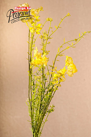 FLEURS DE PRÉ jaune