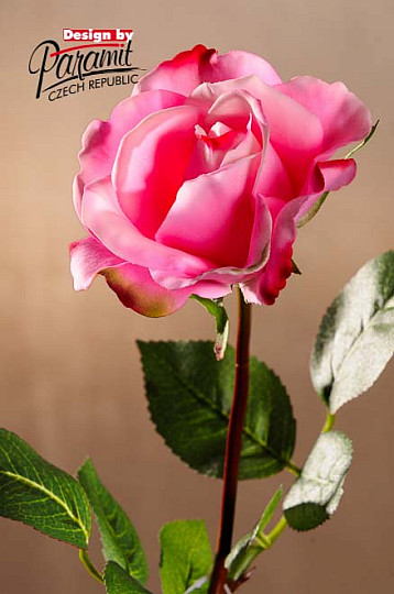 Rose sacrée 67 cm