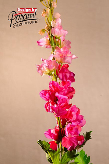 Delphinium bordeaux 79 cm