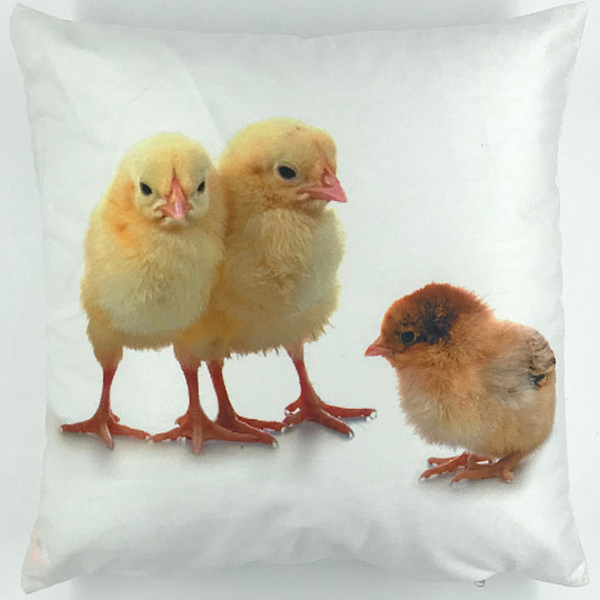 Taie d&#39;oreiller décorative POULET