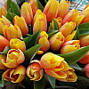 Fleurs artificielles