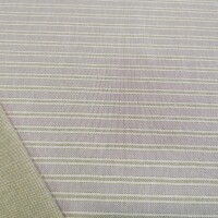 Tissu déco Rayures Iris - vert 66