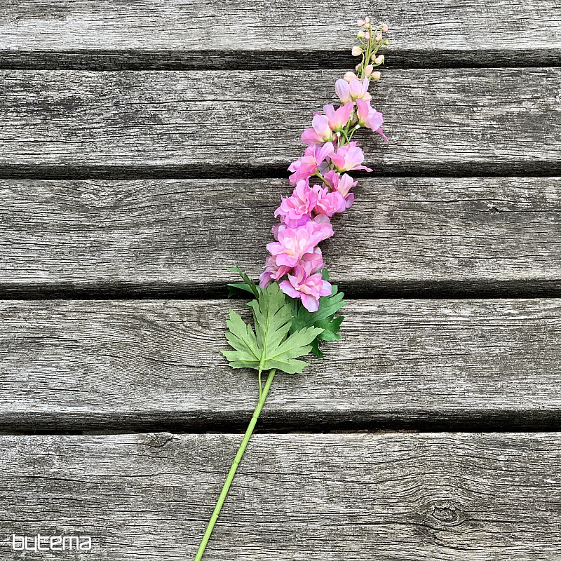Delphinium rose 79 cm