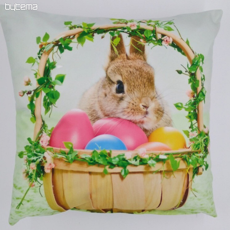 Couverture LIEVRE DANS UN PANIER