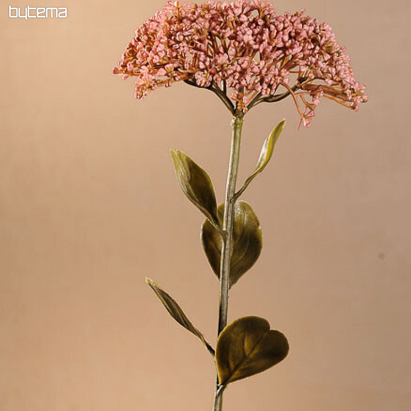 SEDUM SEC PLEINE FLEUR 46 cm vieux rose