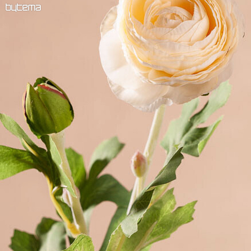 Colophane blanche