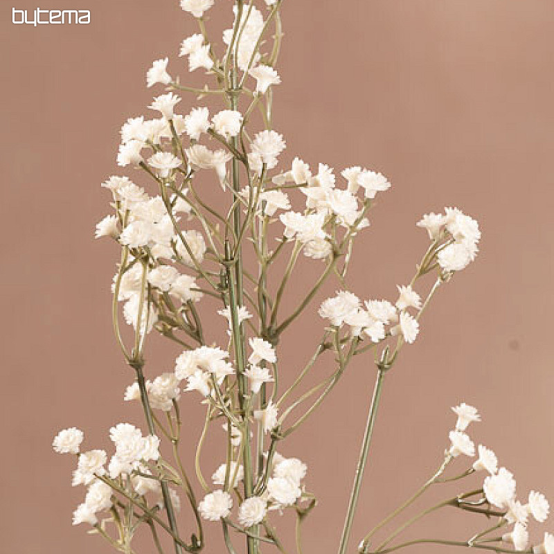 Crème GYPSOFILA