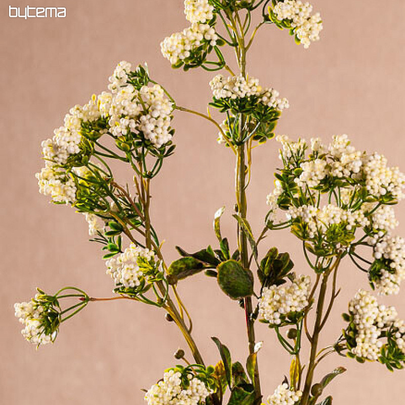 MINI FLEURS blanc