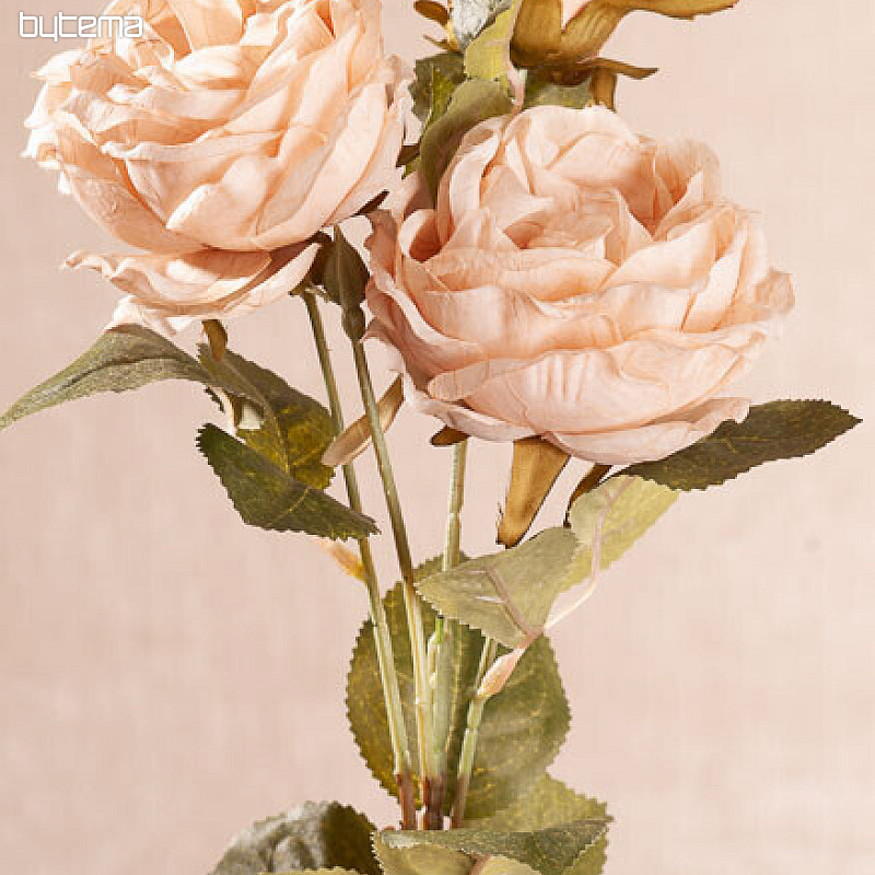 CHOU ROSE crémeux