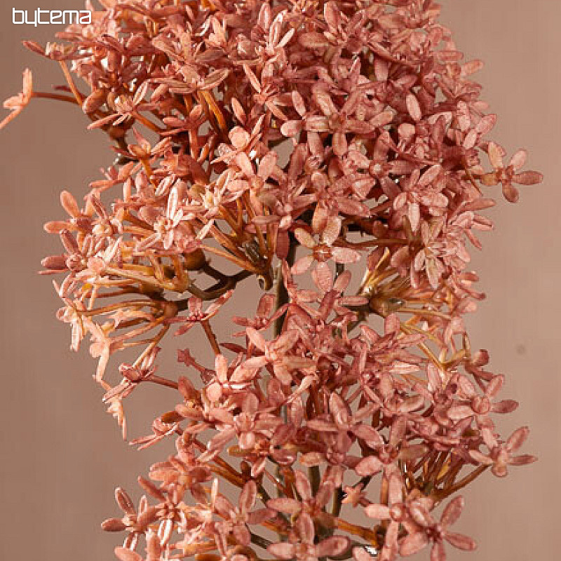 FLEUR DE COURONNE SÈCHE ROSE