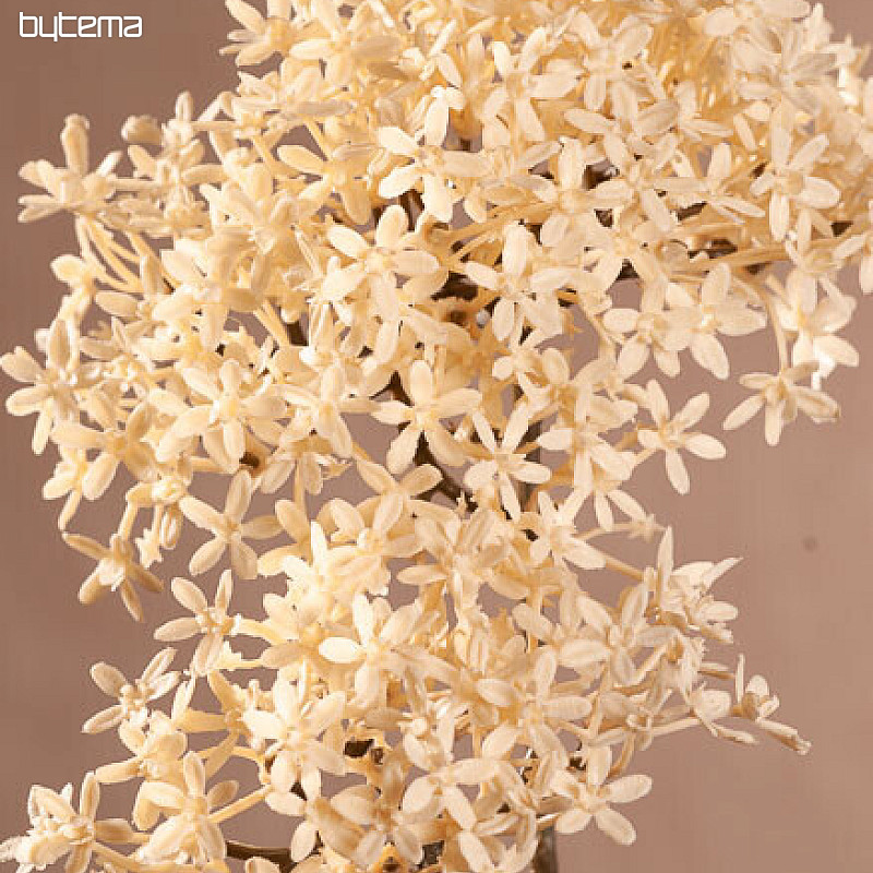 FLEUR DE COURONNE SÈCHE BLANCHE