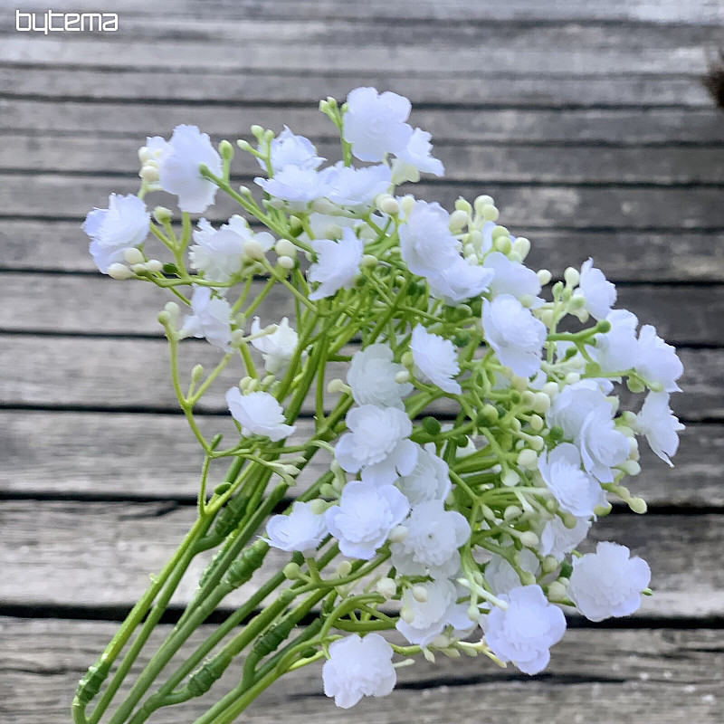 PLÂTRE AÉROSOL BLANC