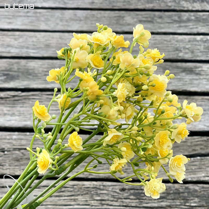 GYPSE SPRAY JAUNE
