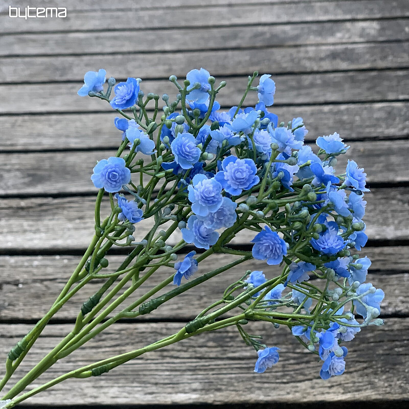 GYPSE SPRAY BLEU