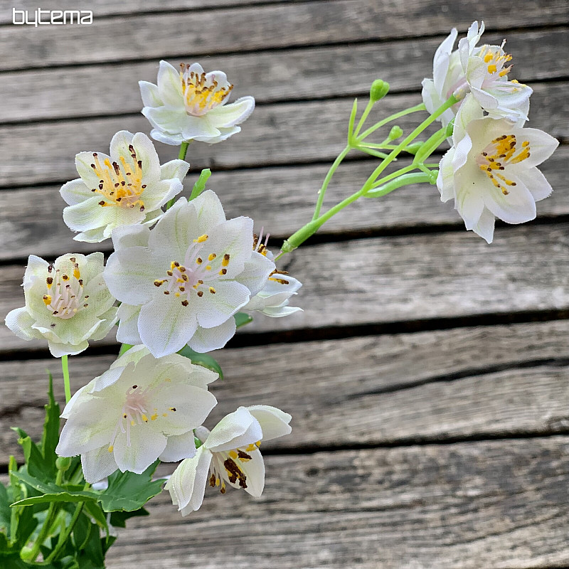 FLEUR SAUVAGE BLANCHE