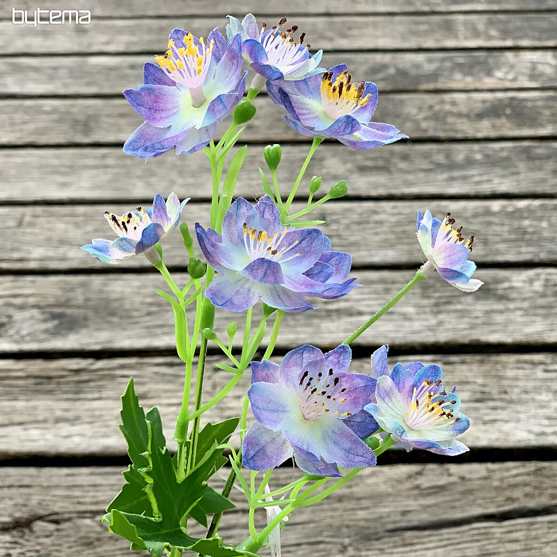 FLEUR SAUVAGE BLEUE