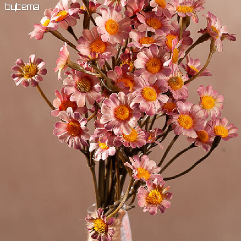 CAMOMILLE ROSE
