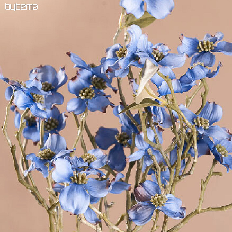 CORNOUILLIER BLEU