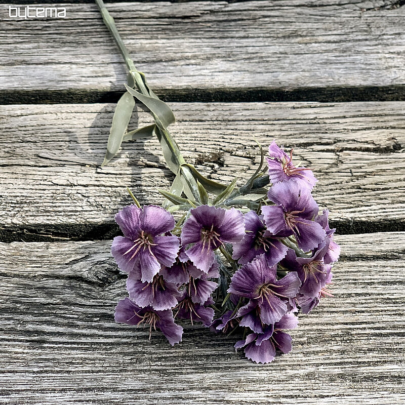 ŒILLET VIOLET