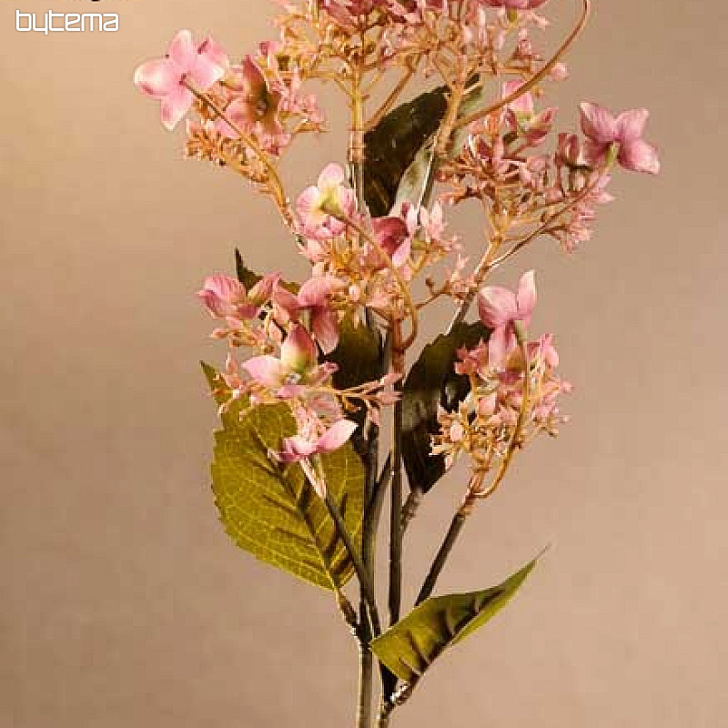 HORTENSIAS SAUVAGES ROSE