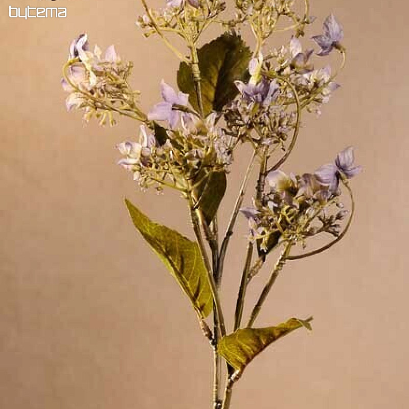 HORTENSIAS SAUVAGES BLEU
