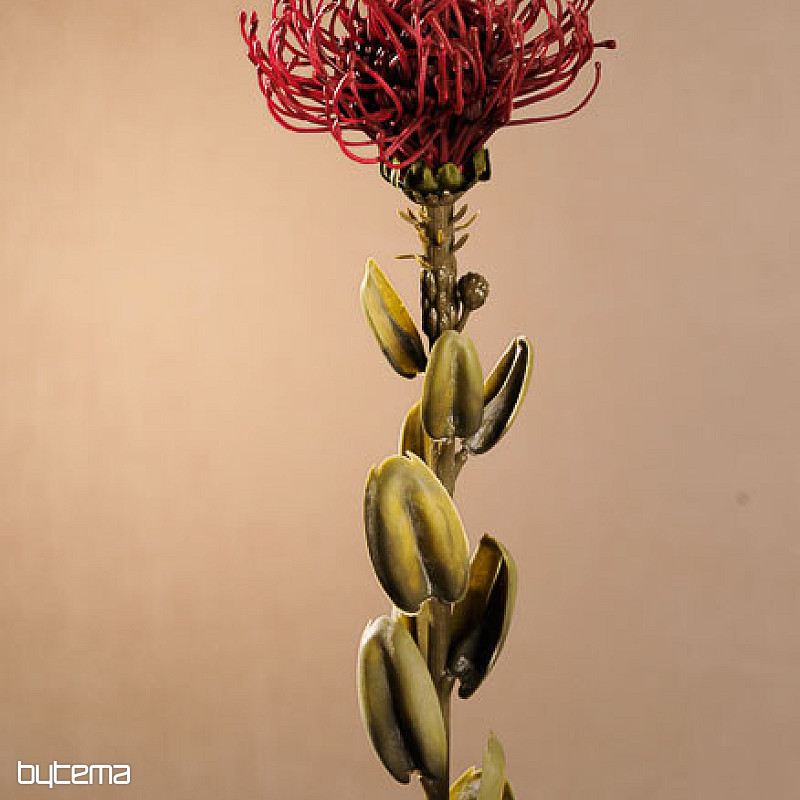 PETITE PROTEA ROUGE SÈCHE