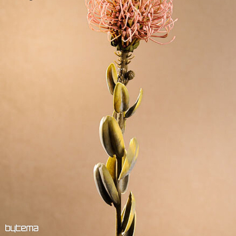 PETITE PROTEA SÈCHE ROSE