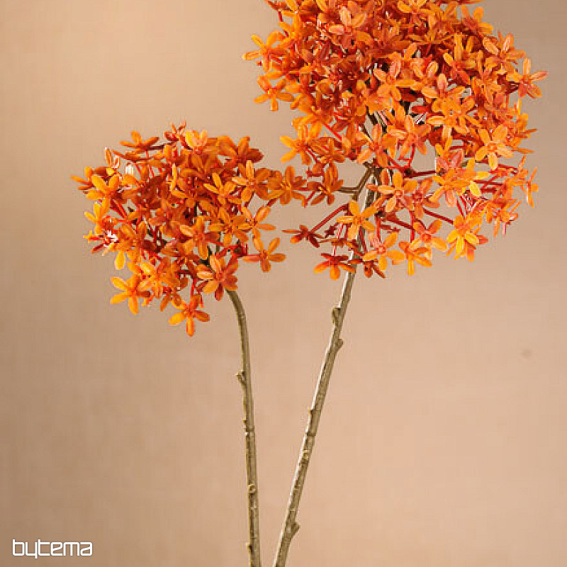 FLEUR DE COURONNE SÈCHE ORANGER