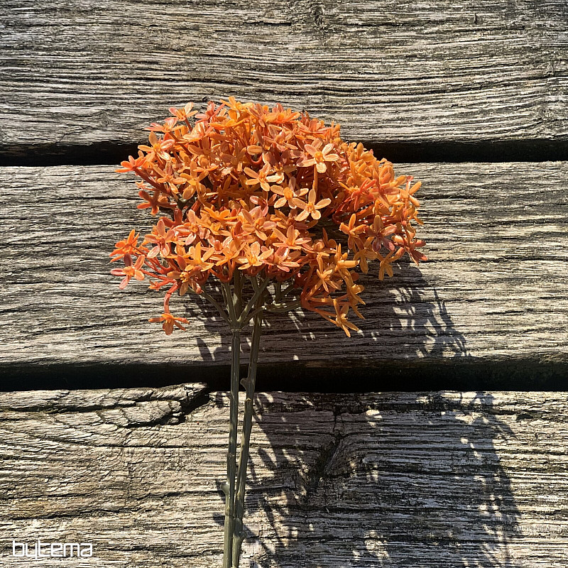 FLEUR DE COURONNE SÈCHE ORANGER