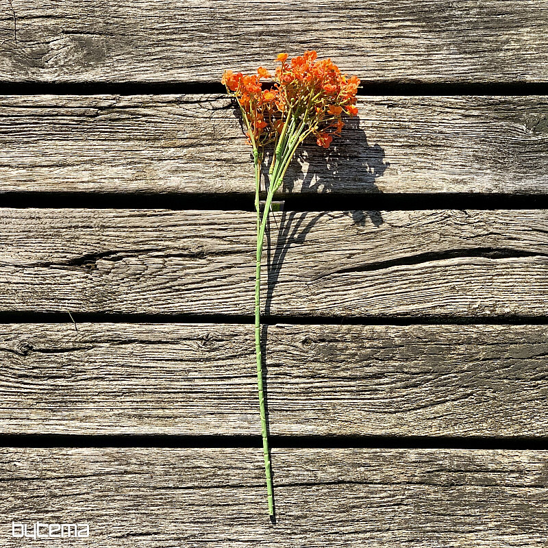 SPRAY DE GYPSE ORANGE