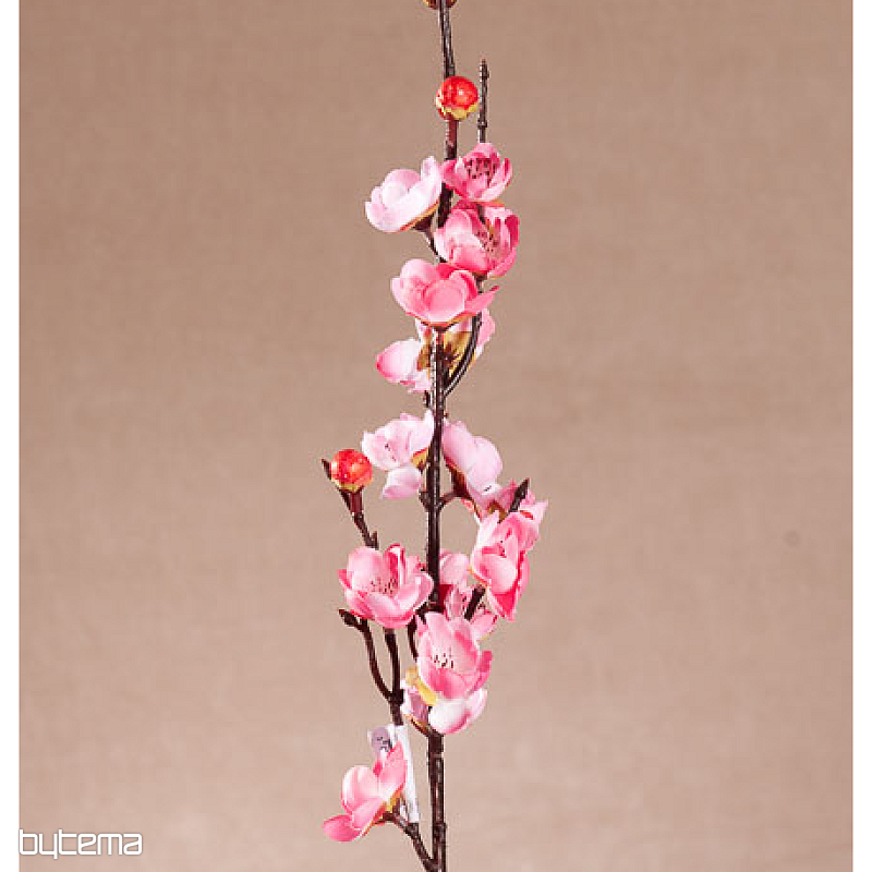 CERISE ROSE DE PRINTEMPS