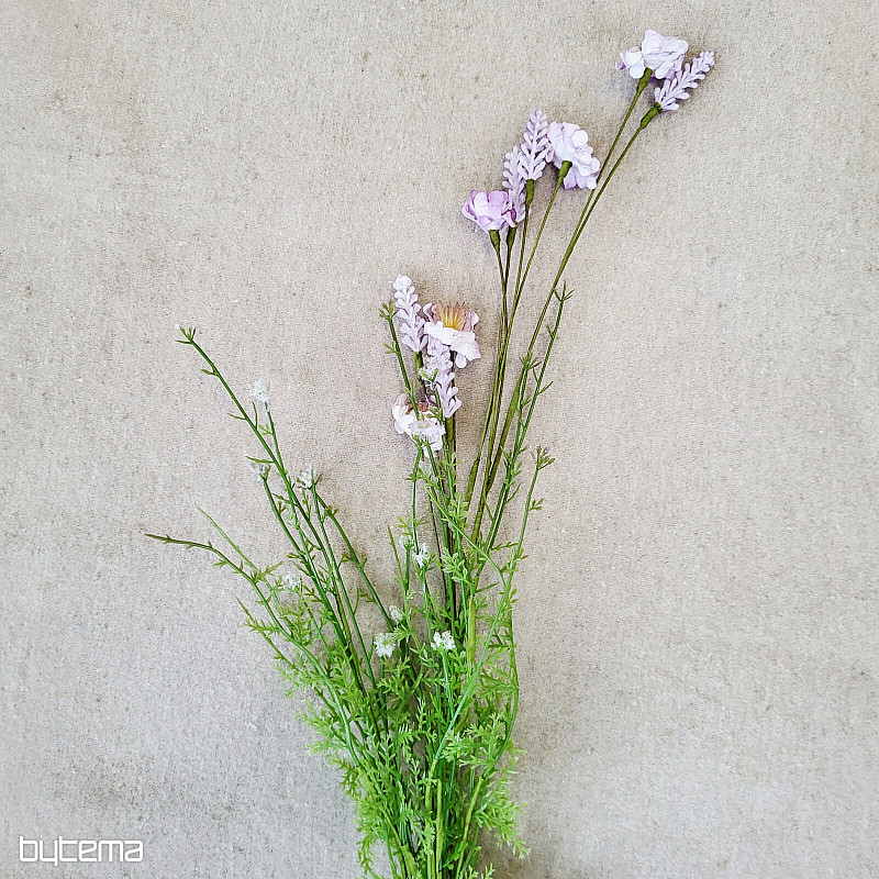 FLEURS DE PRÉ VIOLETTES