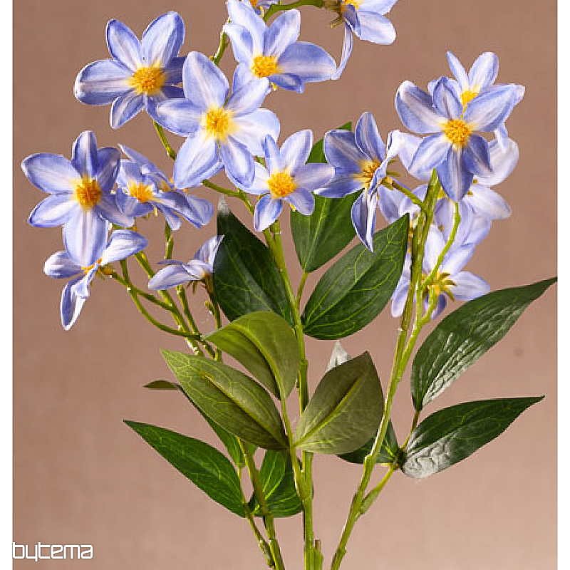 CLÉMATIS BLEU