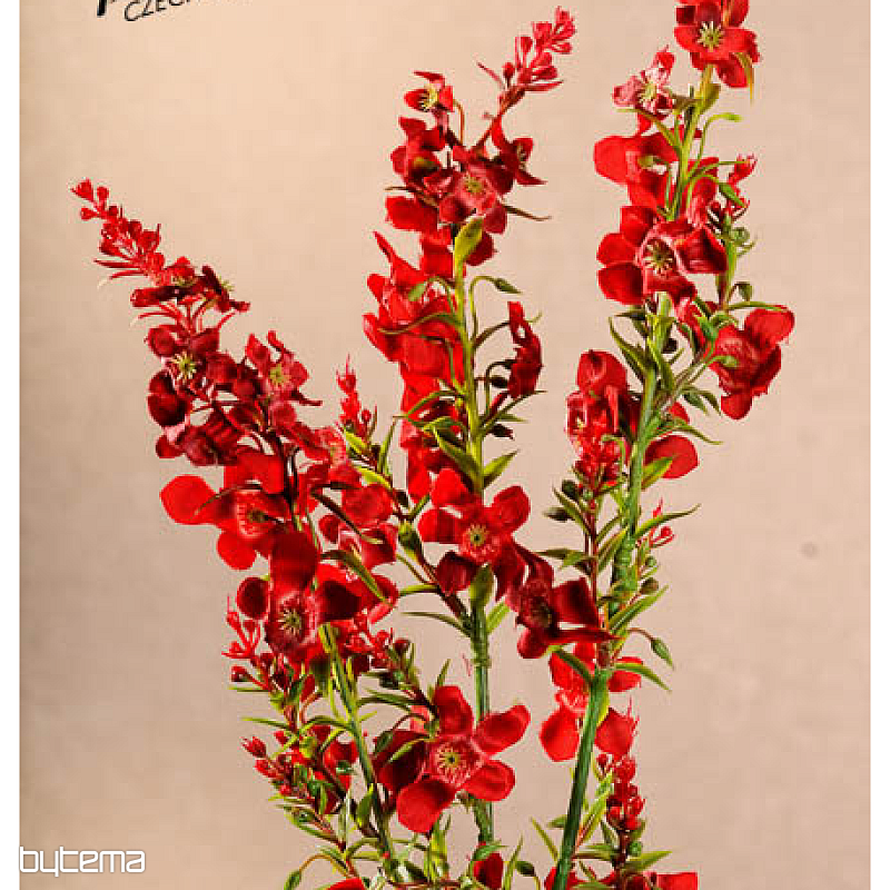 PATTE ROUGE