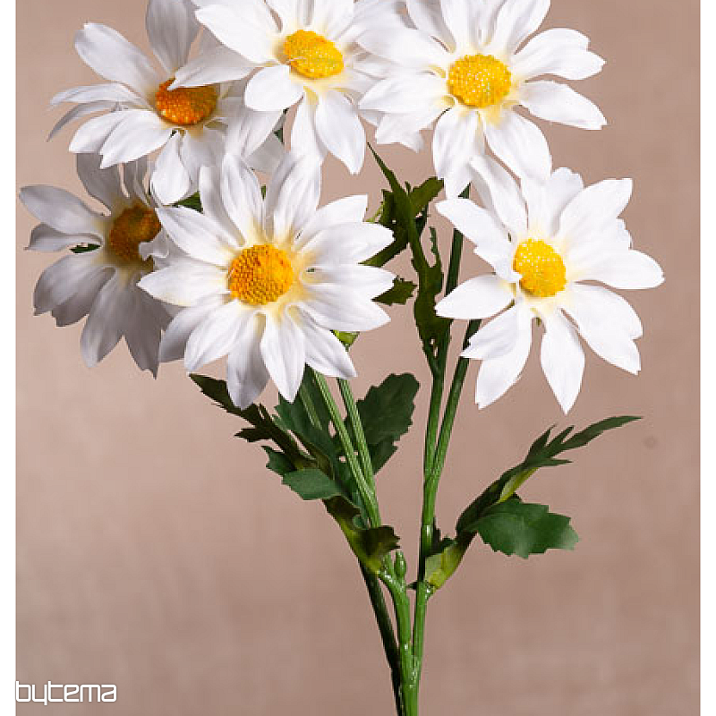 bouquet de gazanias blanches