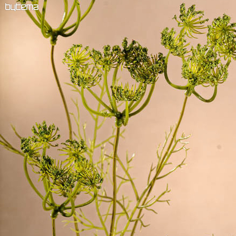 Aneth vert 80 cm