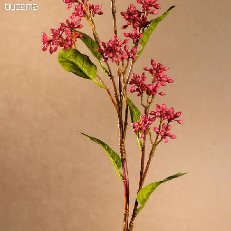 Baie de vin japonaise 63 cm