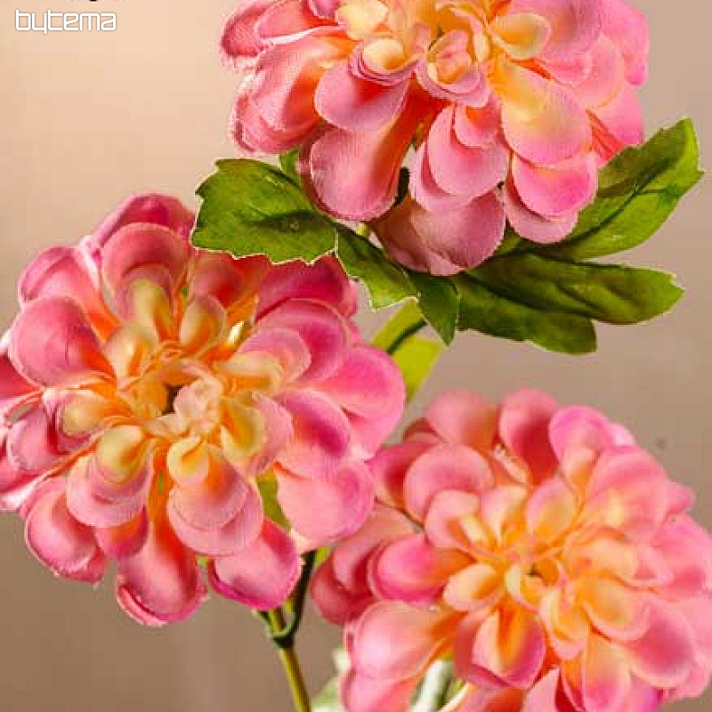 Dahlia rose-jaune 56 cm