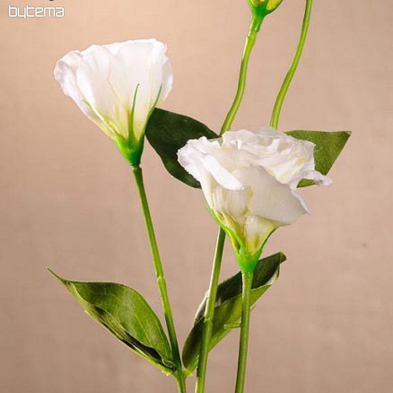 Lisianthus blanc 67 cm
