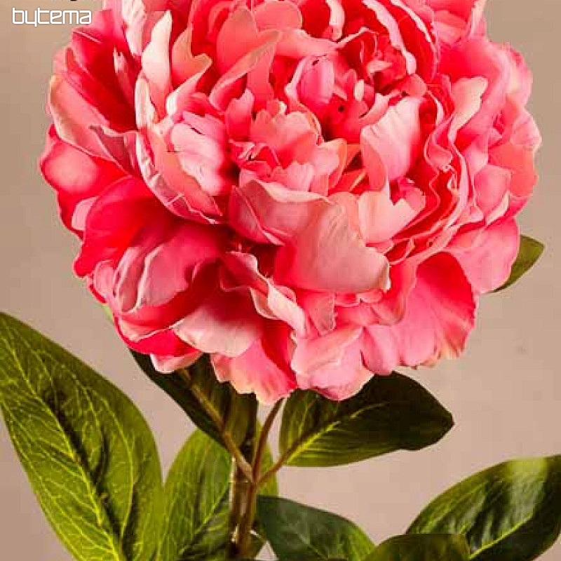 Pivoine rose 72 cm