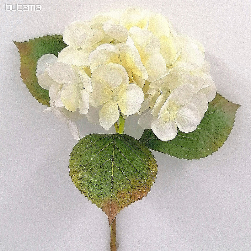 Hortensia blanc 48 cm