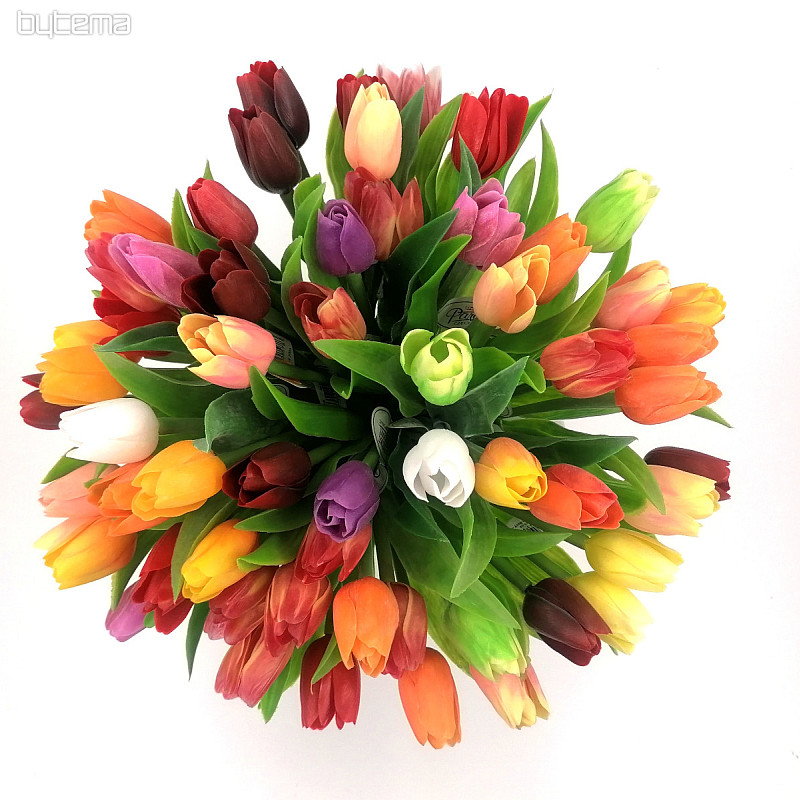 Mélange de couleurs de tulipes