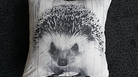 Oreillers avec des animaux