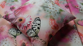 De nouveaux papillons arrivent au printemps